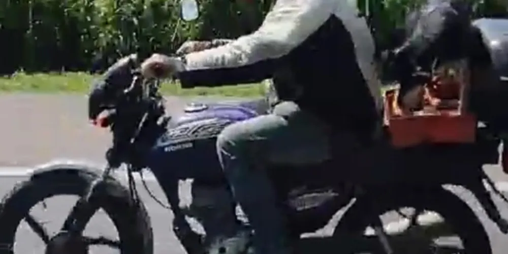 Situação foi flagrada neste domingo, em Ponta Grossa