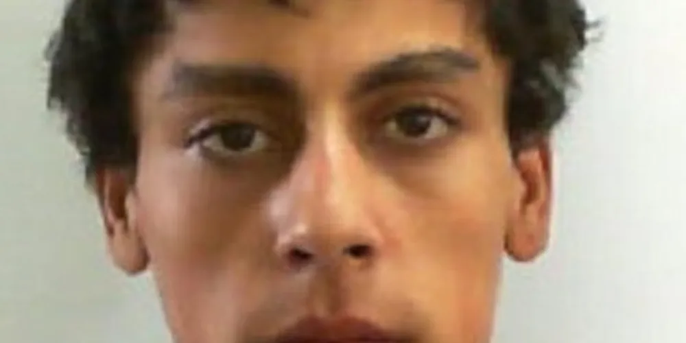 Carlos Alberto Dias Domingues, conhecido pelo apelido de Drika, é o principal  suspeito do crime