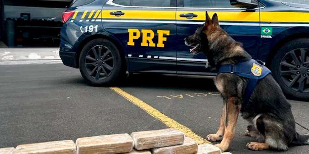 Ao todo, até a metade de setembro, foram apreendidas 135 toneladas de drogas e 155 armas de fogo