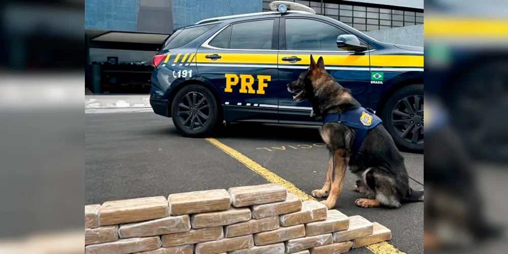 Ao todo, até a metade de setembro, foram apreendidas 135 toneladas de drogas e 155 armas de fogo