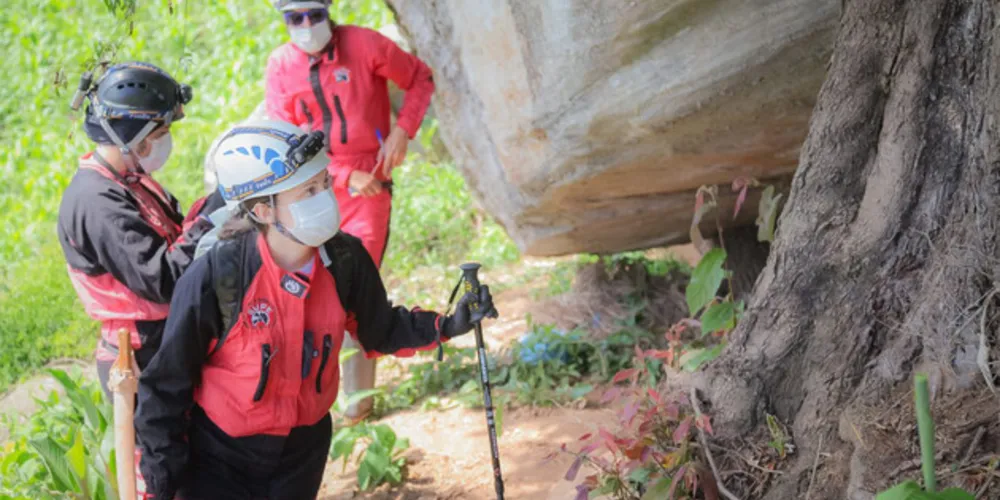 Evento irá divulgar estudos realizados na Escarpa Devoniana