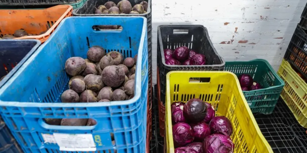 Programa Feira Verde chega a Piraí do Sul