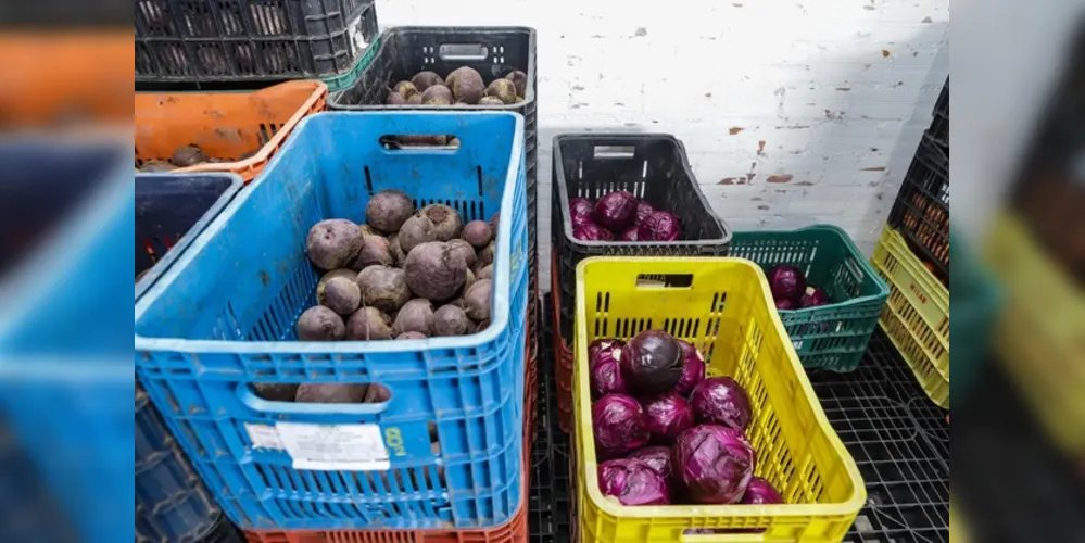 Programa Feira Verde chega a Piraí do Sul