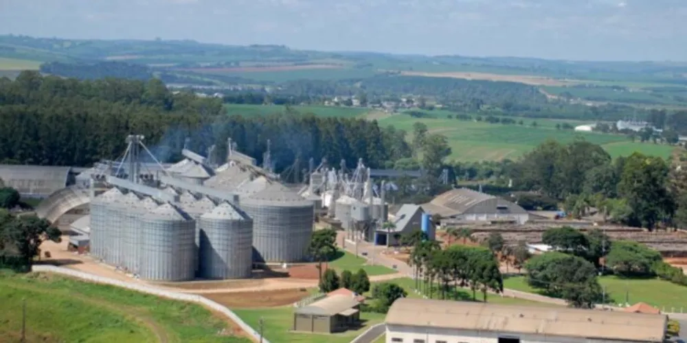 Cooperativa vai instalar um barracão climatizado de 4,1 mil metros quadrados em uma área no km 495 da BR-376, próximo à atual planta empresarial