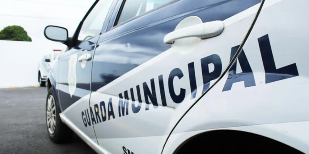 Guarda Municipal foi acionada neste domingo (03) no Contorno