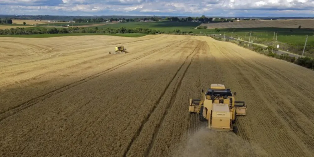 As nove cidades paranaenses estão na dianteira da agropecuária do Brasil, liderando, em 2022, a produção nacional