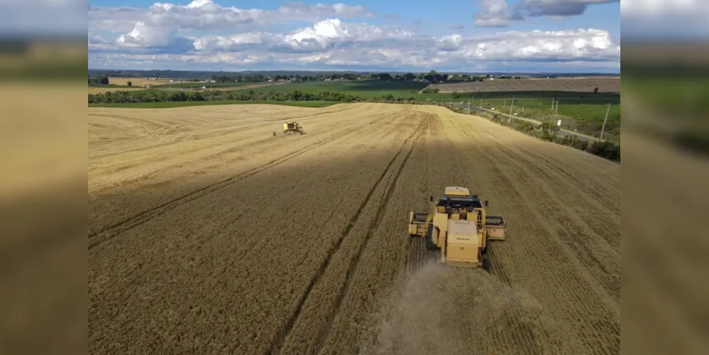 As nove cidades paranaenses estão na dianteira da agropecuária do Brasil, liderando, em 2022, a produção nacional