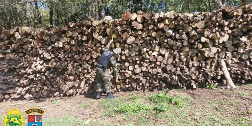 Apreensão de lenha nativa aconteceu neste domingo (17)