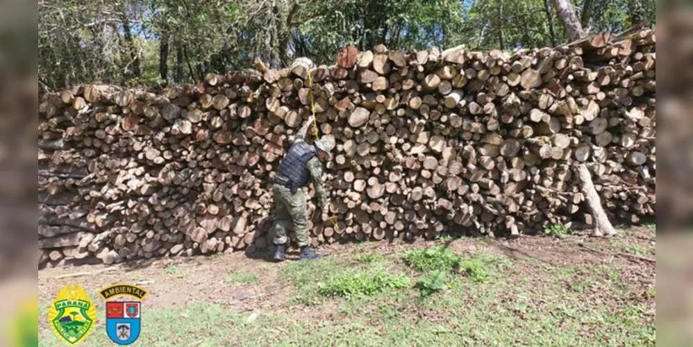 Apreensão de lenha nativa aconteceu neste domingo (17)