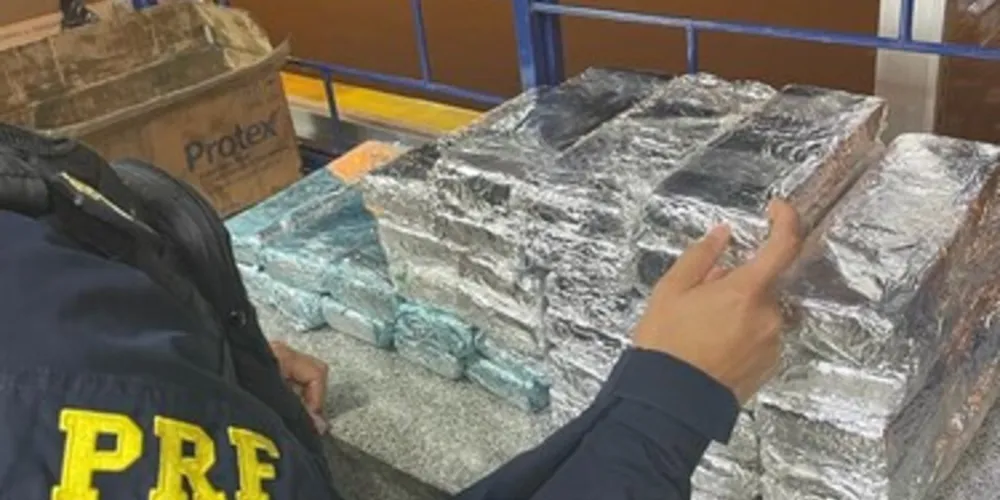 Apreensão aconteceu na BR-277, em Irati, na madrugada desta quarta-feira 13