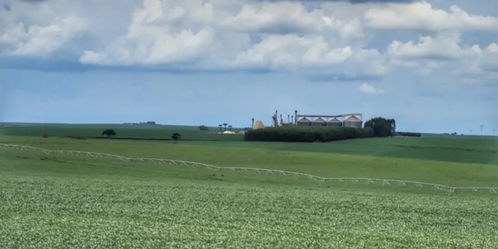 Segundo o Ipardes, a agropecuária registrou elevação real de 37,28%