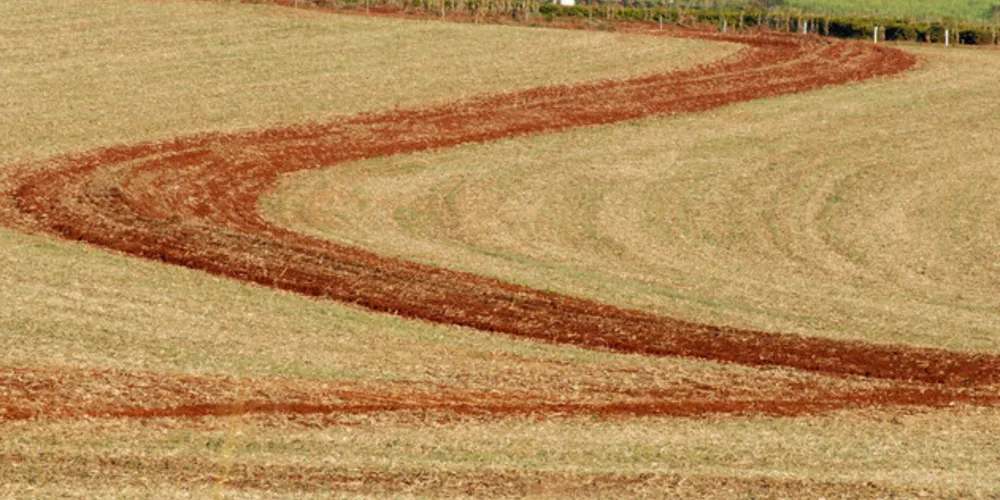 Em revista científica, técnico do IDR-Paraná propõe aprimorar conceito de plantio direto