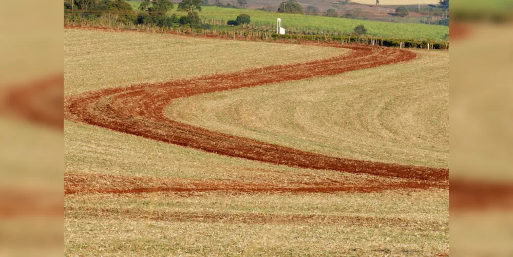 Em revista científica, técnico do IDR-Paraná propõe aprimorar conceito de plantio direto