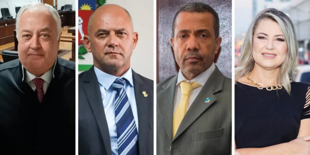 Raul Vaz da Silva Portugal, Hudson Leôncio Teixeira, Marco Aurélio Santos e Tânia Sviercoski