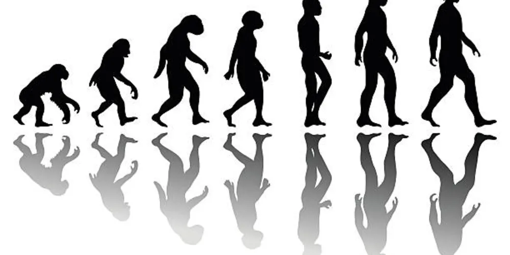 Lamarckismo e Darwinismo são alguns dos tópicos abordados na aula