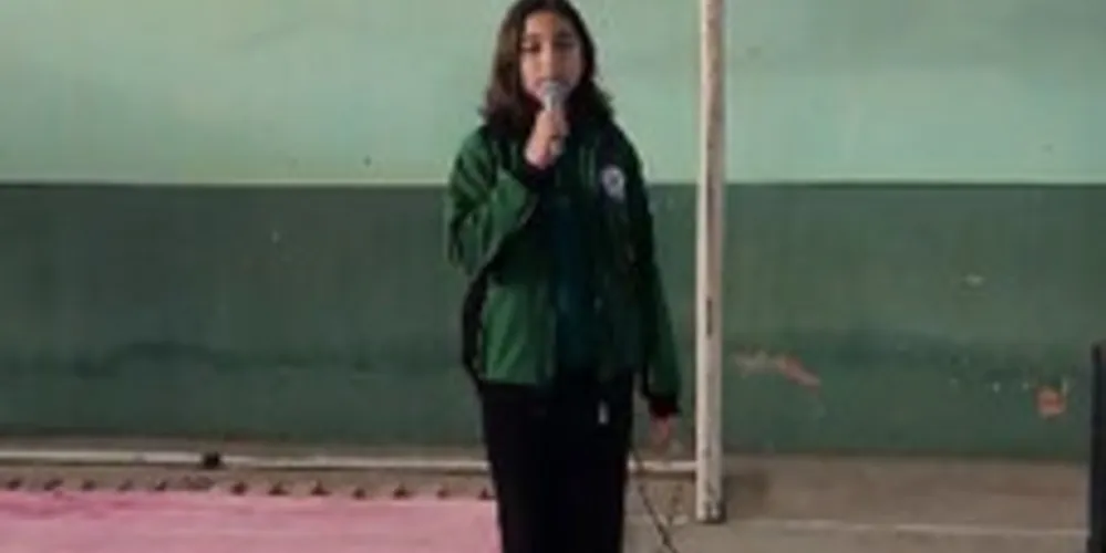 Poema autoral -Jaguariaíva  Querida