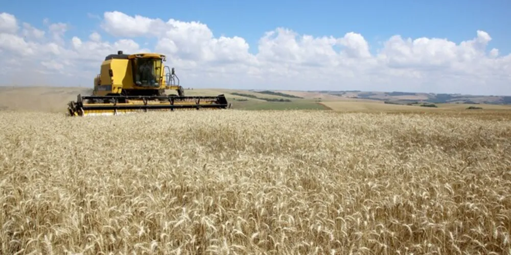 Colheita já foi iniciada nos municípios mais ao norte da regional de Ponta Grossa do Deral