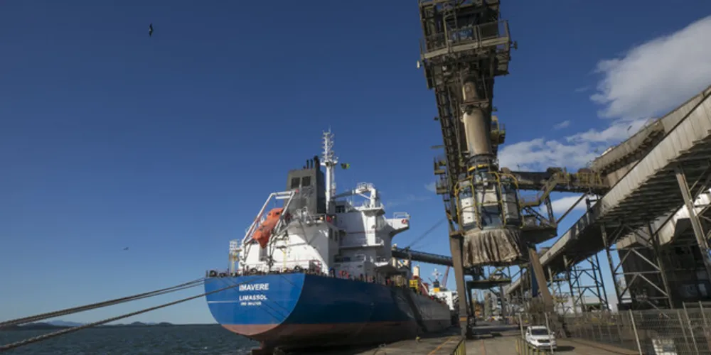 Início do projeto está previsto para setembro e vai até março de 2024