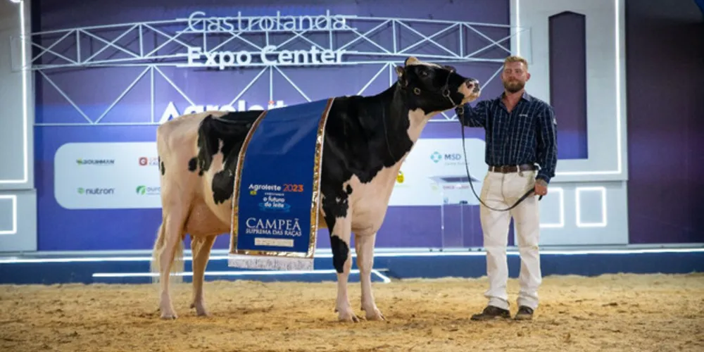 A Família de Boer, de Castro, conquistou o título máximo dos julgamentos de animais do Agroleite 2023