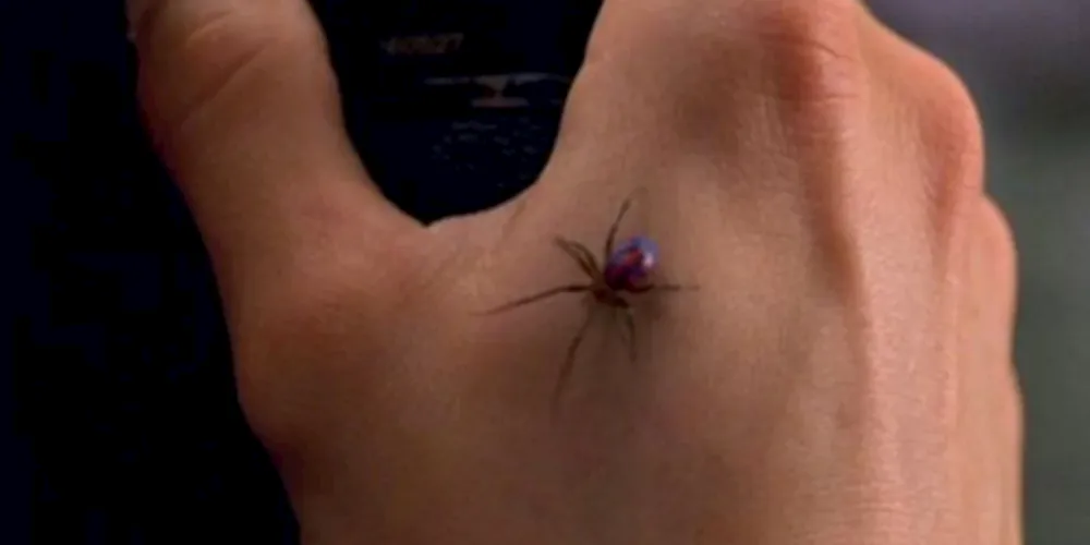 Cena do filme Homem Aranha mostra aranha picando o personagem principal