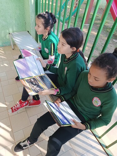 Material oferecido às escolas vem sendo de grande valia nas inúmeras ações com os estudantes