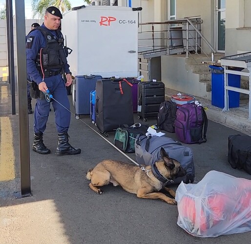 Durante a ação, os agentes da GCM utilizaram cães farejadores para inspeção das bagagens