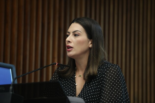 Deputada Mabel fala sobre acidentes entre a  BR-373 e PR-522