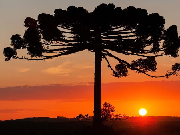 Em Ponta Grossa, a máxima é de 22°