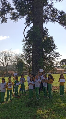 Os alunos realizaram pesquisas sobre as características da árvore e conheceram a lenda de origem da espécie