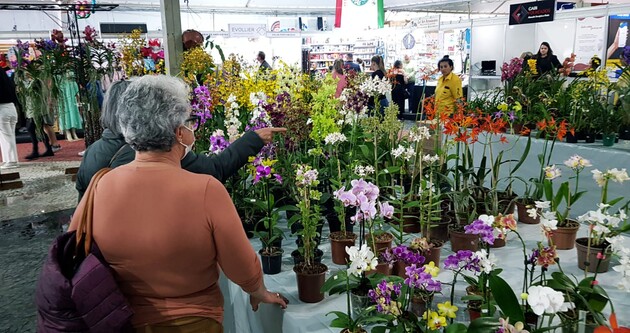 Exposição de Flores de Holambra, acontece entre os dias 06 e 17 de setembro, das 09h às 21h, no Parque Ambiental