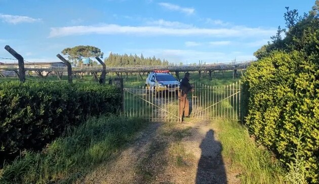 Mulher confessou a autoria do crime e disse que matou o pai com um tiro de arma de fogo