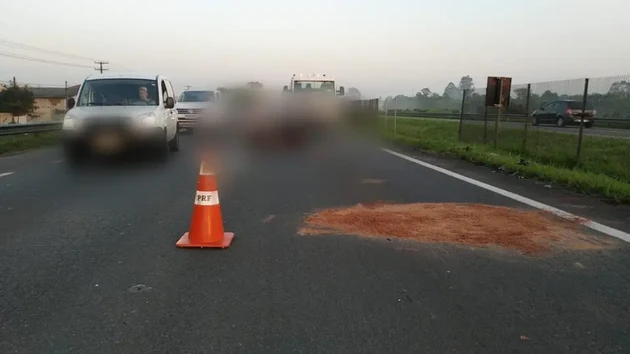 Uma colisão envolvendo uma motocicleta e um cavalo terminou com morte na madrugada deste sábado (23), no Km 79, da BR-277 no sentido litoral