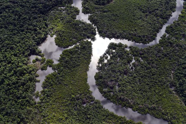 Paraná foi o estado do País que mais reduziu o desmatamento ilegal da Mata Atlântica com queda de 54%