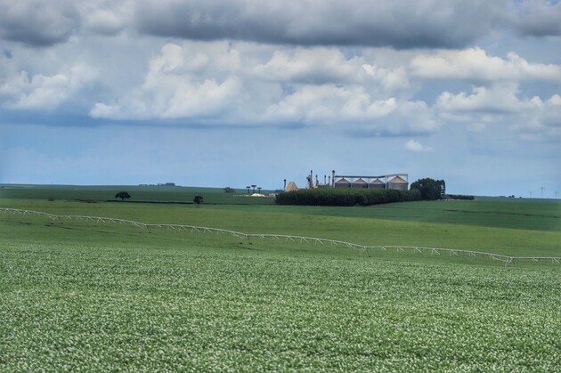 Segundo o Ipardes, a agropecuária registrou elevação real de 37,28%