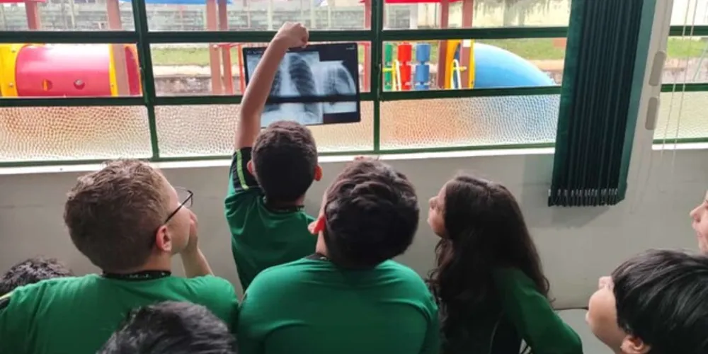 Diversos materiais, como análise de raio X, foram colocados à disposição da classe
