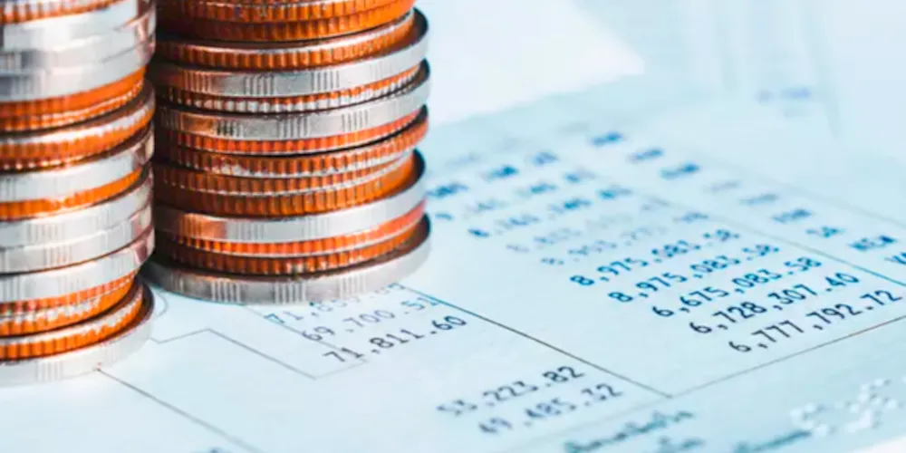 Doutora e mestra Fernanda Parisi falas obre imposto seletivo