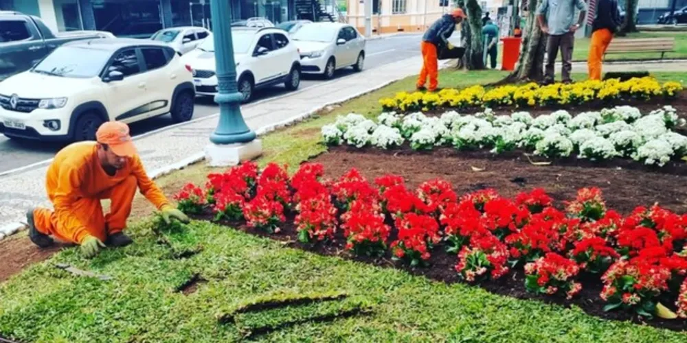 Paisagismo já foi implantado no lugar do deck