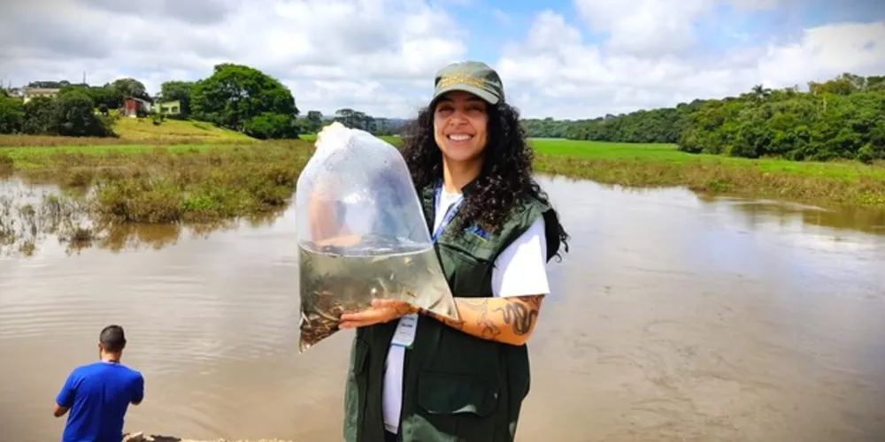 Soltura dos alevinos foi realizada pelo escritório regional do IAT