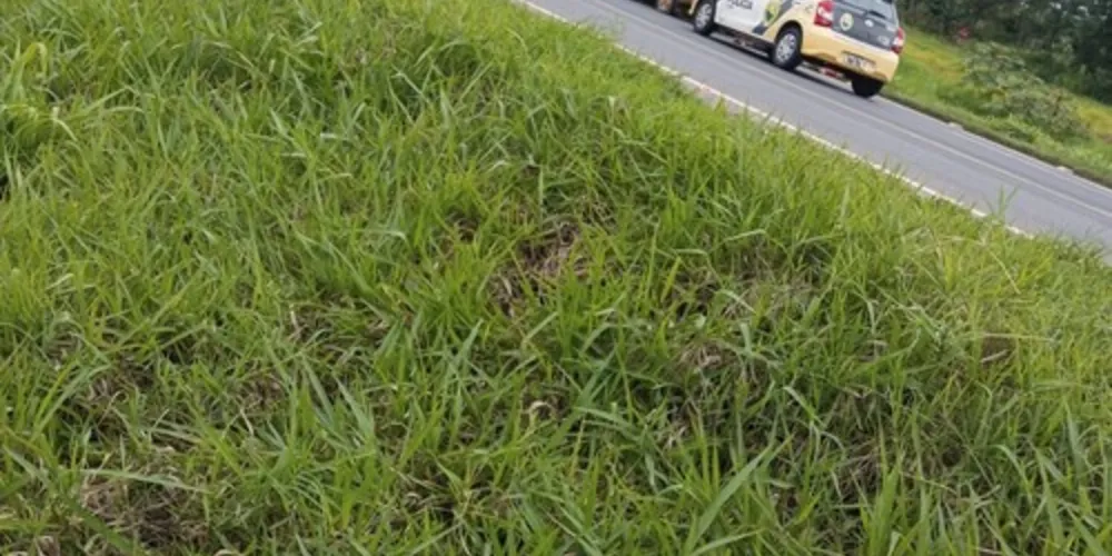 Assalto aconteceu nesta segunda-feira (27)