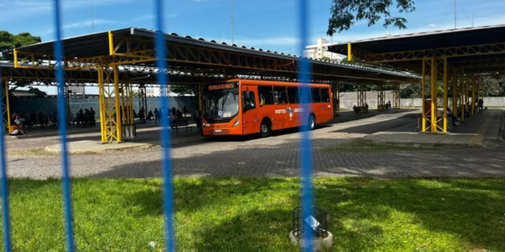 Vítima, após ser atropelada, utilizou um ônibus do transporte coletivo
