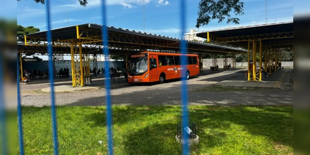 Vítima, após ser atropelada, utilizou um ônibus do transporte coletivo