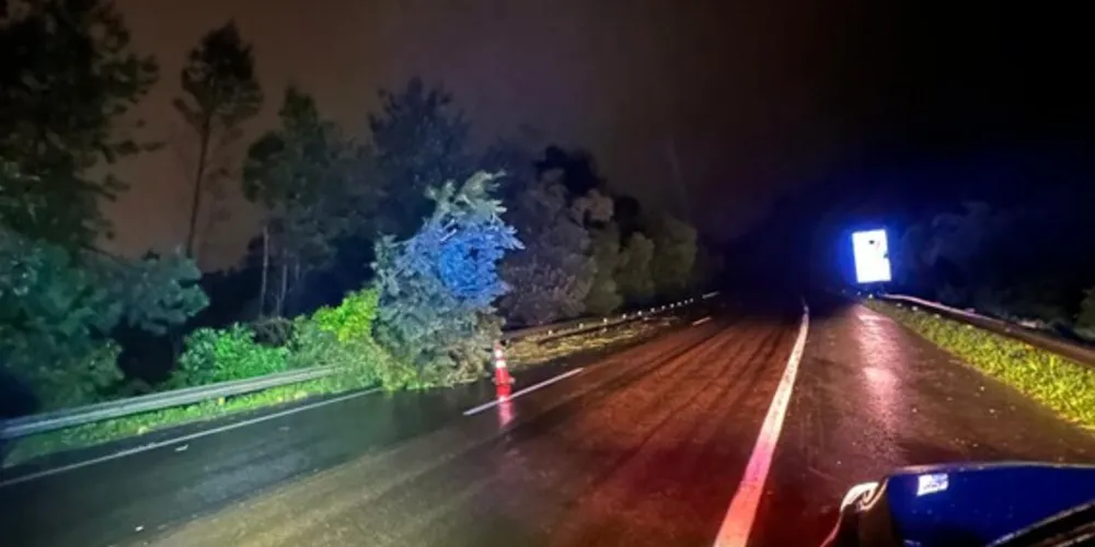 Uma queda de árvore interditou parcialmente a BR-277, no km 127, na serra de São Luiz do Purunã