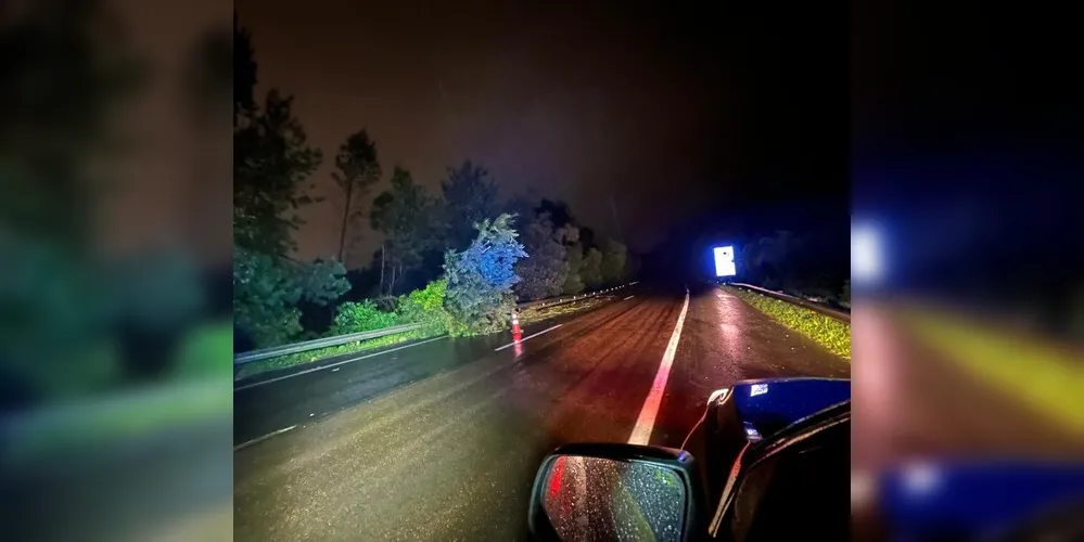 Uma queda de árvore interditou parcialmente a BR-277, no km 127, na serra de São Luiz do Purunã