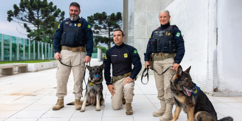 Echo e Chuck ingressaram na polícia em 2016 e 2017, respectivamente
