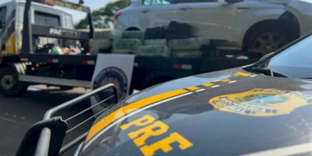 Equipe da Polícia Rodoviária Federal foi acionada para a ocorrência