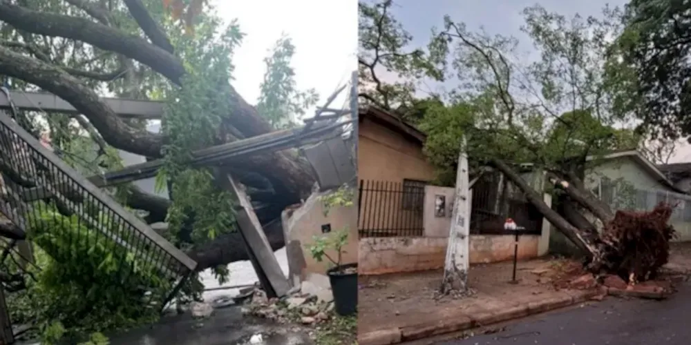 Entre sábado e início de domingo (8), choveu 113,8 milímetros na cidade.