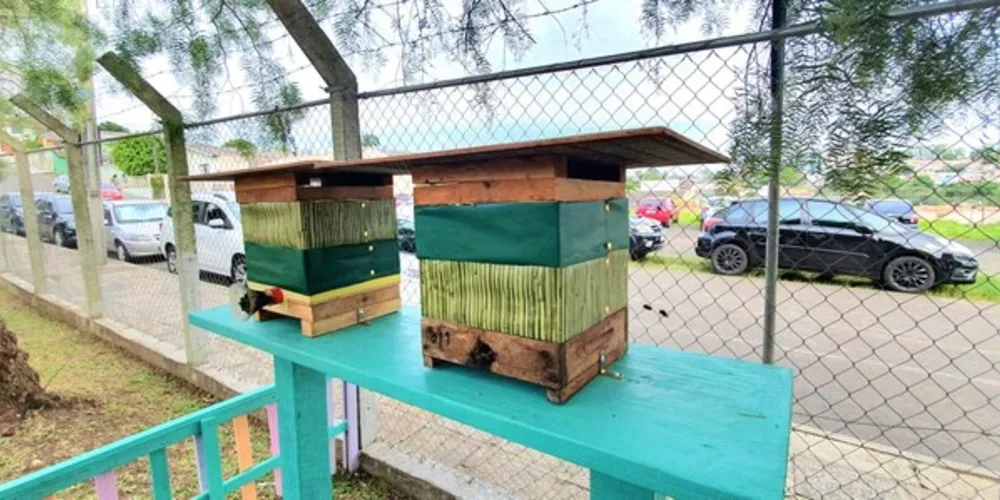 Projeto leva colmeia de abelhas sem ferrões para escolas