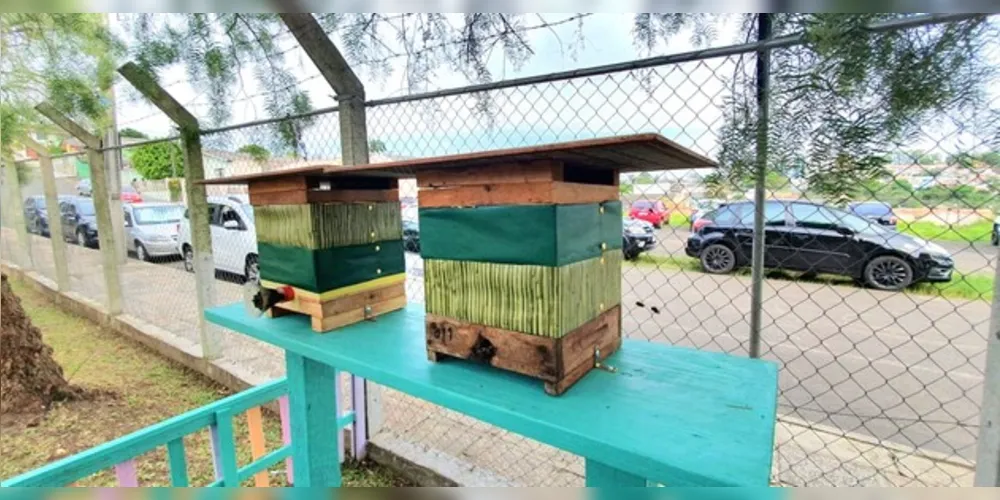 Projeto leva colmeia de abelhas sem ferrões para escolas