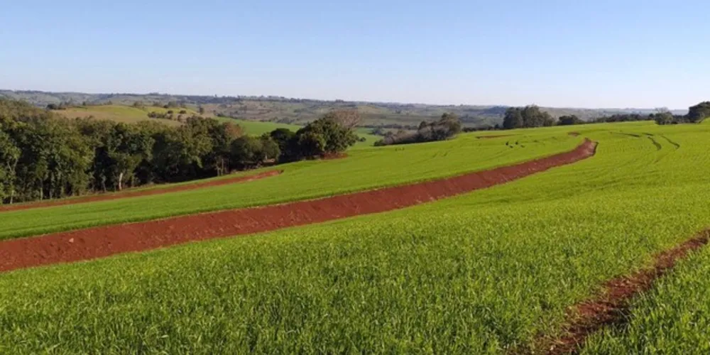 Eles analisam os problemas e propõem as soluções para uma perspectiva mais sustentável