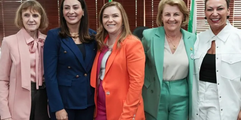 Para a deputada Mabel Canto, as contribuições tornam ainda mais efetivas as leis em prol da mulher